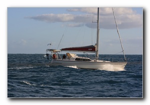 Click to enlarge