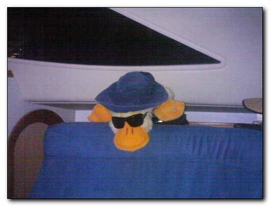 duckie2