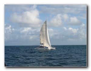 Click to enlarge