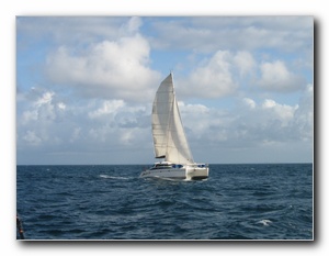 Click to enlarge