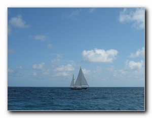 Click to enlarge