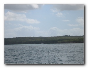Click to enlarge