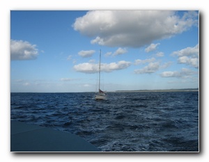 Click to enlarge
