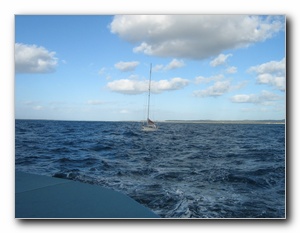 Click to enlarge