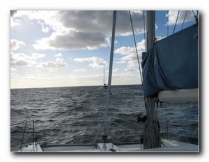 Click to enlarge